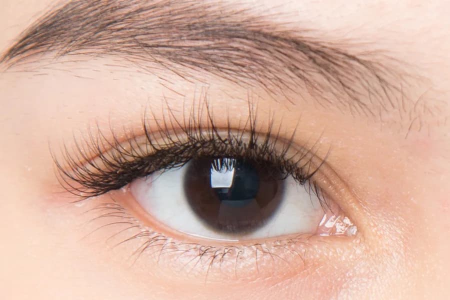 Wispy Wimpern-Styling bei Glow Nails & Lashes Potsdam-Babelsberg